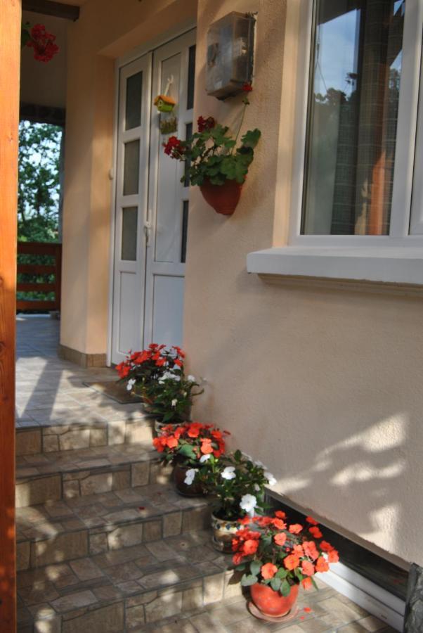 Casa Kelemen Apartment โซวาตา ภายนอก รูปภาพ
